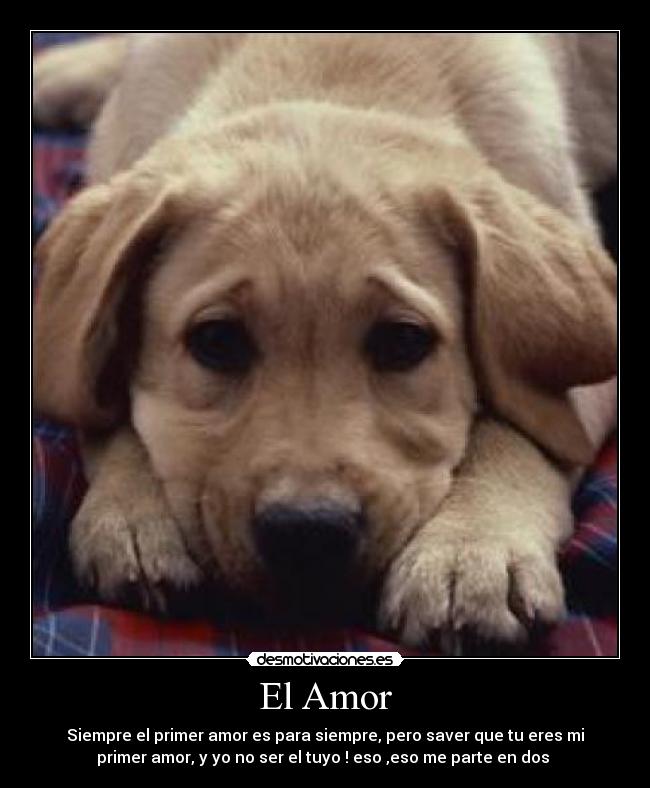 El Amor - Siempre el primer amor es para siempre, pero saver que tu eres mi
primer amor, y yo no ser el tuyo ! eso ,eso me parte en dos