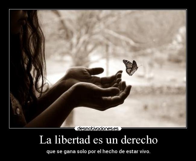 La libertad es un derecho -