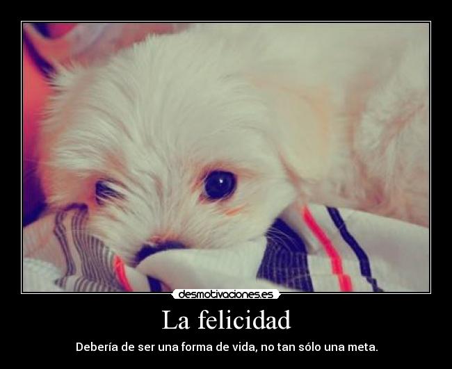 La felicidad - Debería de ser una forma de vida, no tan sólo una meta.
