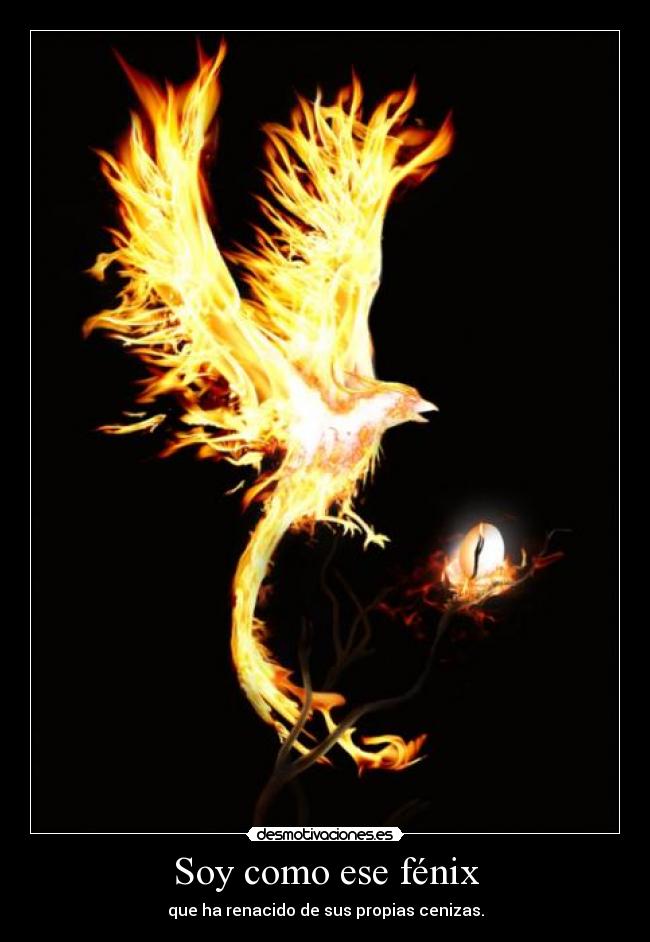 Soy como ese fénix - 