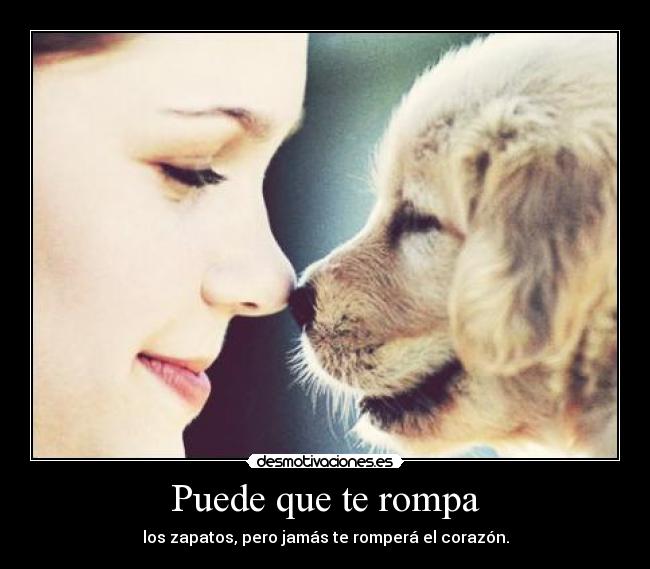 carteles looree tuyaparasiempre desmotivaciones