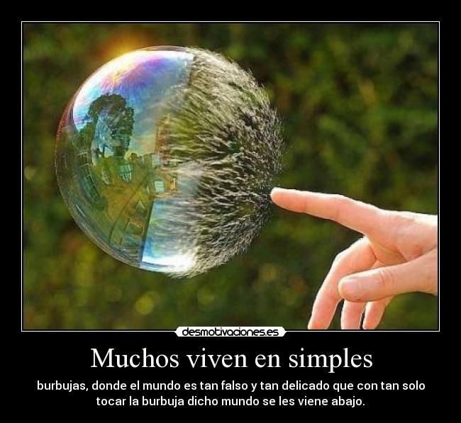 carteles hablando verdades estas simplemente son las realidades desmotivaciones