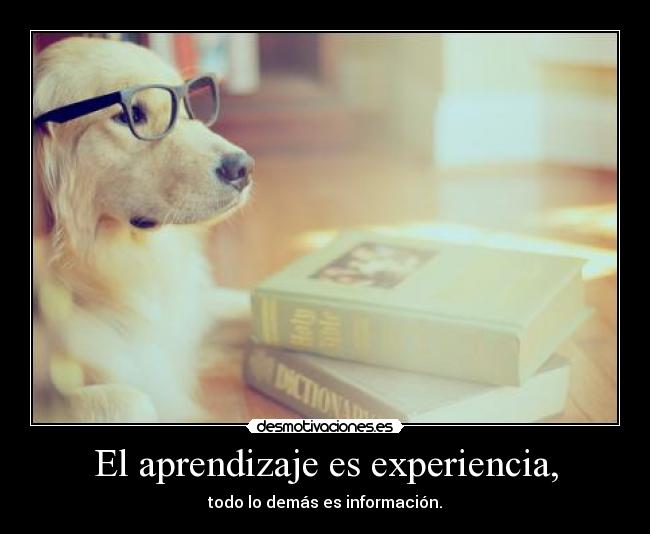 El aprendizaje es experiencia, - todo lo demás es información.