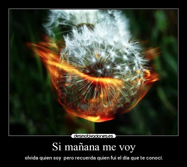 Si mañana me voy - olvida quien soy pero recuerda quien fui el día que te conocí.
