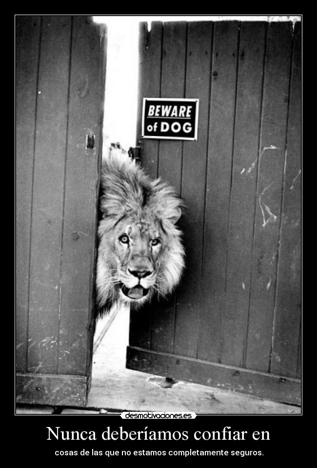 carteles amo mire cute puppy desmotivaciones