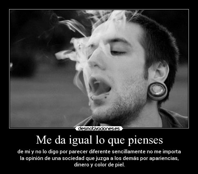 carteles apoyo julian assange unas ganas que llegue verano imaginais desmotivaciones