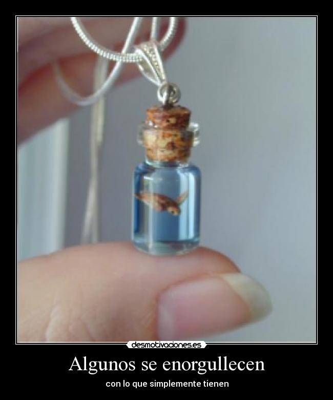 Algunos se enorgullecen - con lo que simplemente tienen