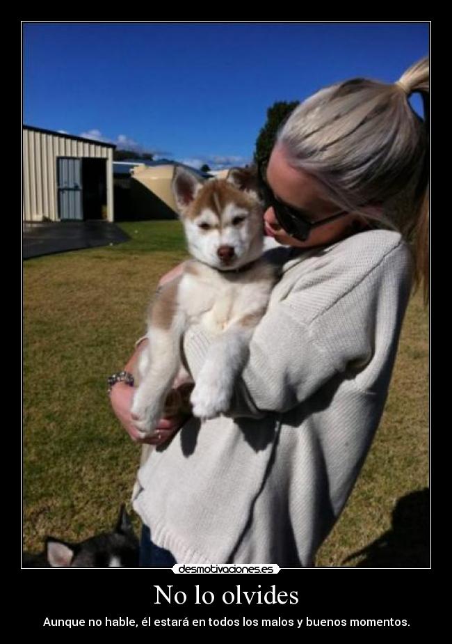 No lo olvides - Aunque no hable, él estará en todos los malos y buenos momentos.