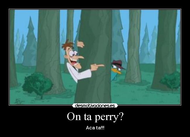 On ta perry? - Aca ta!!!