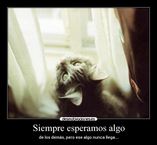 Siempre esperamos algo -