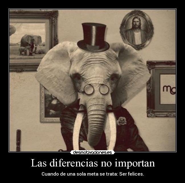 Las diferencias no importan -