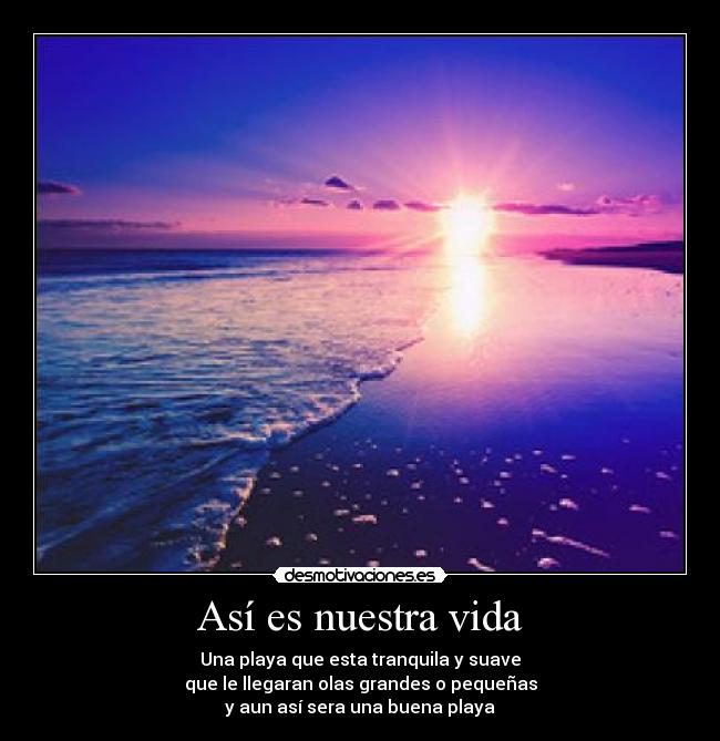 carteles vida anime fotos animales mas por jorge mzs desmotivaciones