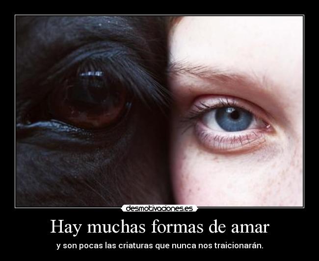 Hay muchas formas de amar - 