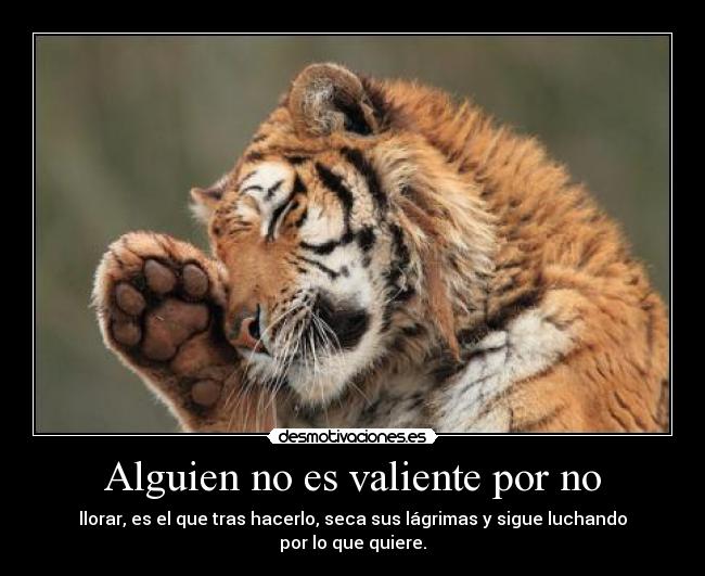 Alguien no es valiente por no -