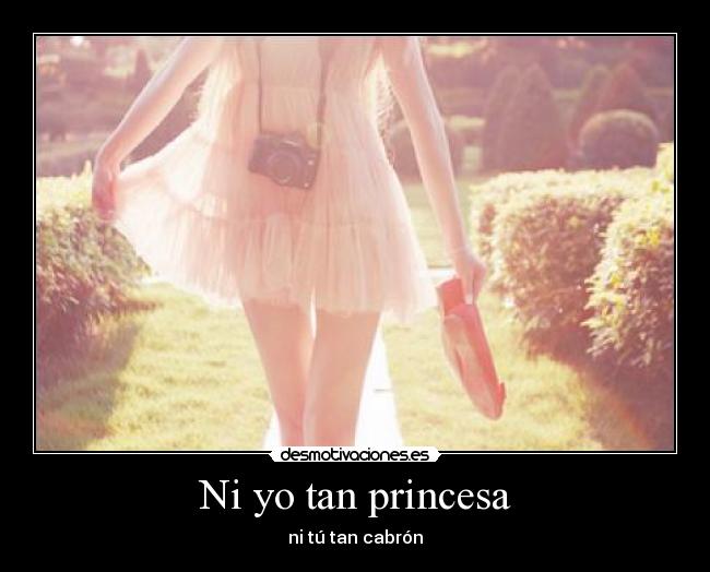 Ni yo tan princesa - 