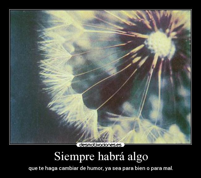 carteles bipolargirl desmotivaciones