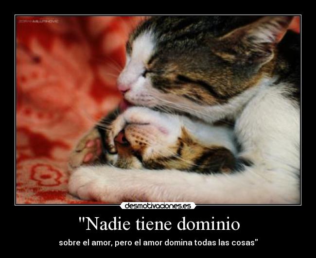 carteles asdfghjkl desmotivaciones