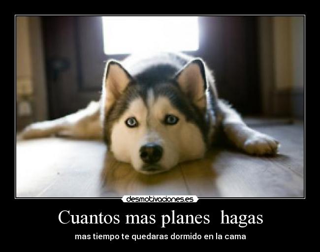 Cuantos mas planes  hagas - mas tiempo te quedaras dormido en la cama