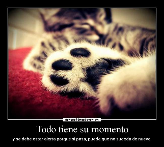 Todo tiene su momento - 