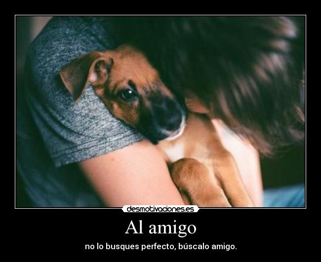 Al amigo -