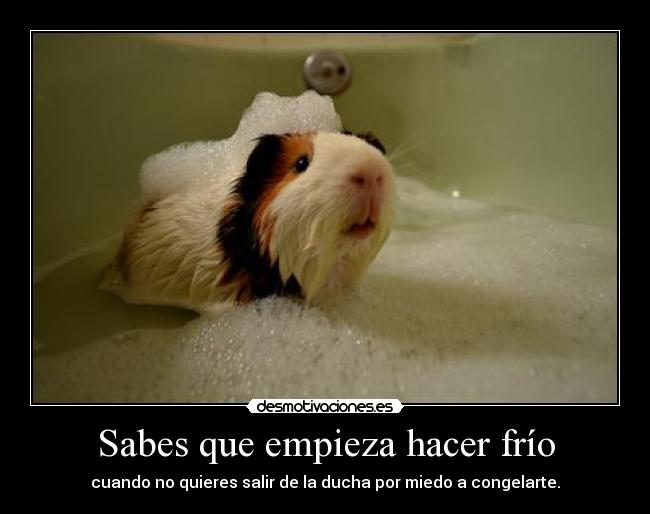 carteles hielo desmotivaciones