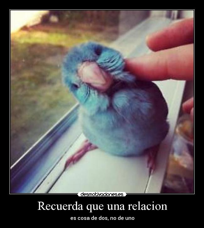 Recuerda que una relacion - es cosa de dos, no de uno