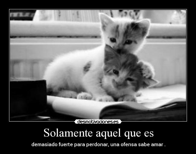 carteles mmrmjerm desmotivaciones