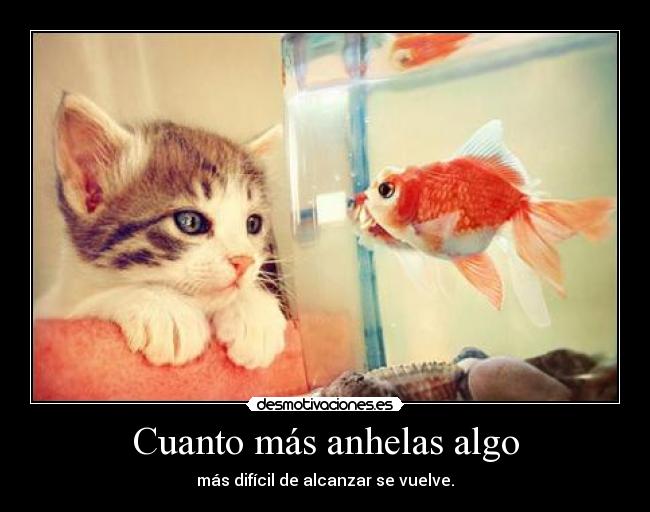 carteles mucho mas dificil gatosygatosymasgatos dosguiond desmotivaciones