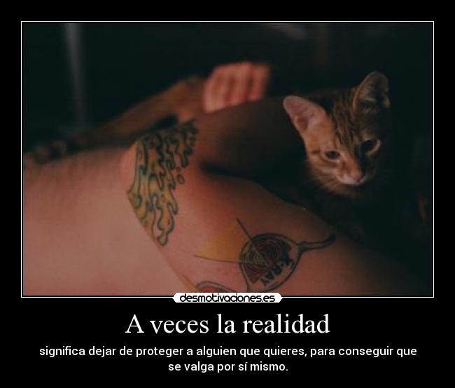 A veces la realidad - 
