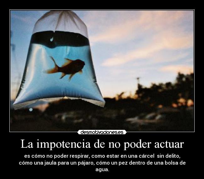 carteles perds hubi desmotivaciones