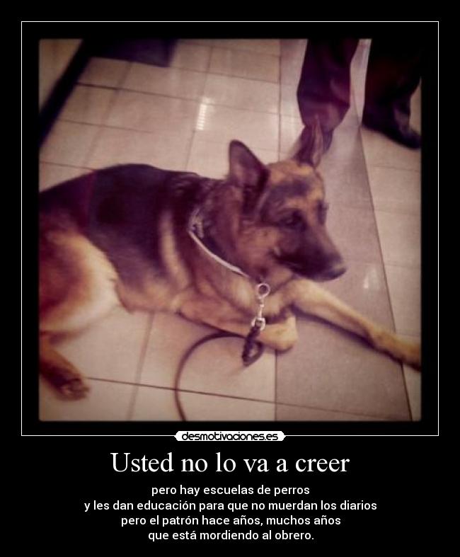 Usted no lo va a creer - pero hay escuelas de perros
y les dan educación para que no muerdan los diarios
pero el patrón hace años, muchos años
que está mordiendo al obrero.