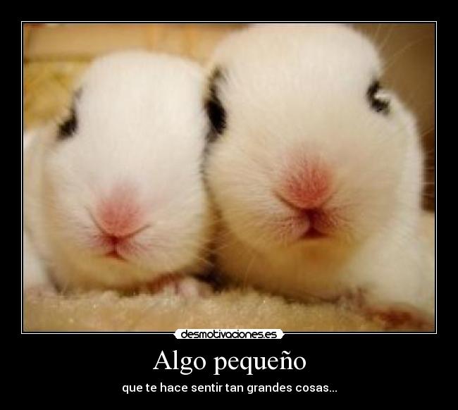 Algo pequeño - que te hace sentir tan grandes cosas...