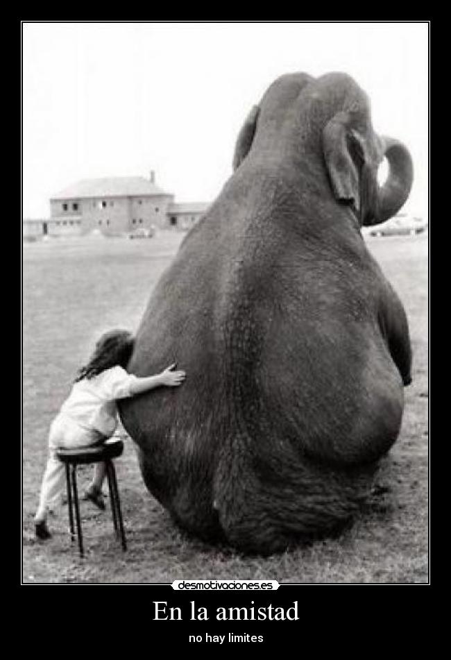 En la amistad -