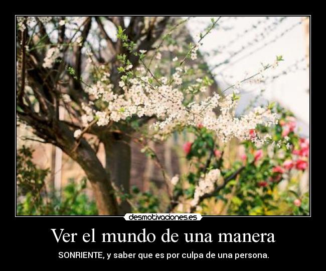 Ver el mundo de una manera - SONRIENTE, y saber que es por culpa de una persona.