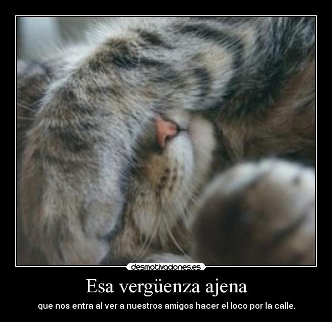 Esa vergüenza ajena - que nos entra al ver a nuestros amigos hacer el loco por la calle.