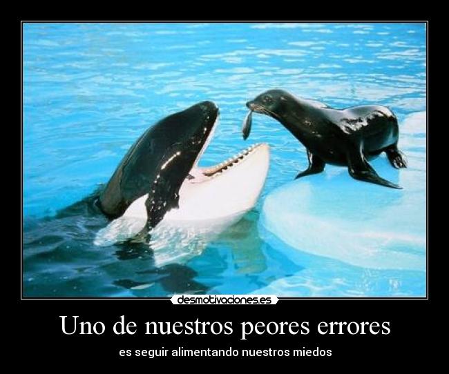 carteles que lindos aunque los comera pez foca desmotivaciones