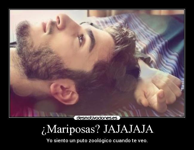 ¿Mariposas? JAJAJAJA -