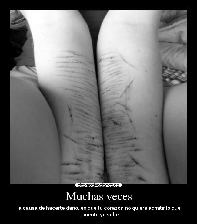 carteles vida desmotivaciones