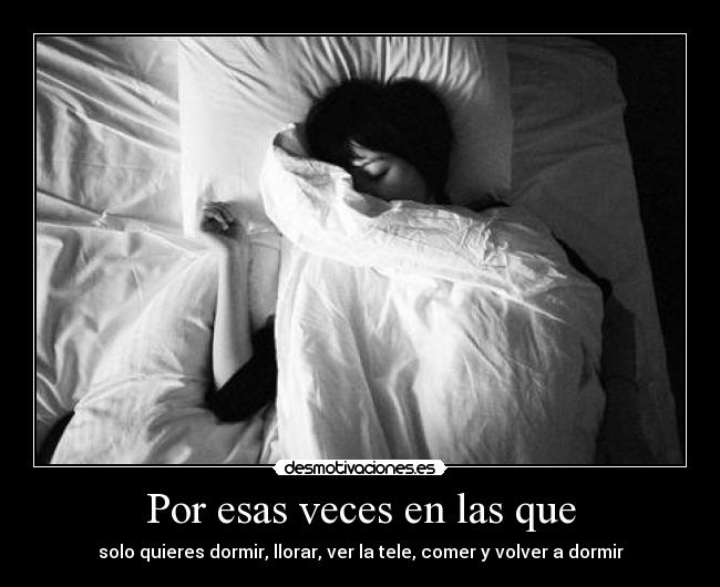 carteles flojear desmotivaciones