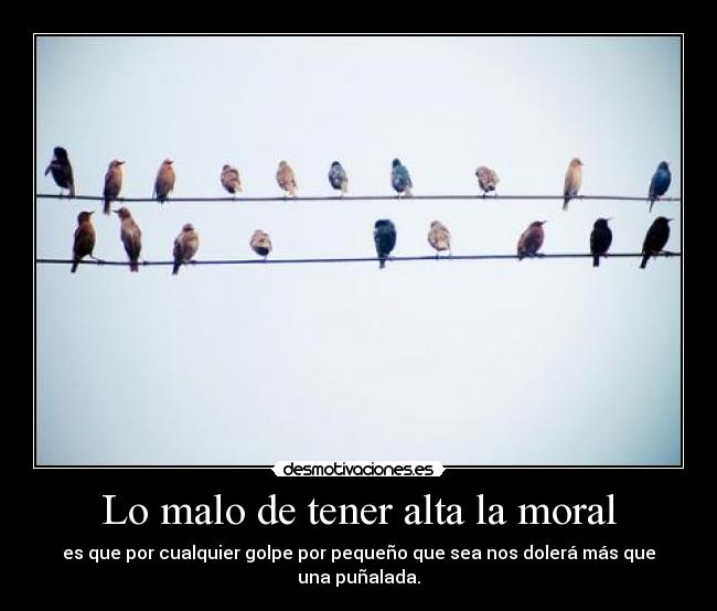 Lo malo de tener alta la moral -