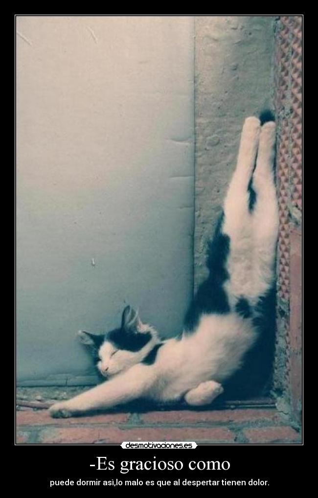 -Es gracioso como - puede dormir asì,lo malo es que al despertar tienen dolor.