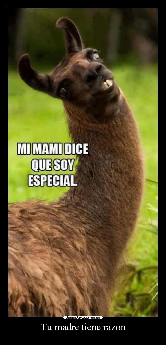 carteles madre sdsdsdsdasfwsfhdb desmotivaciones