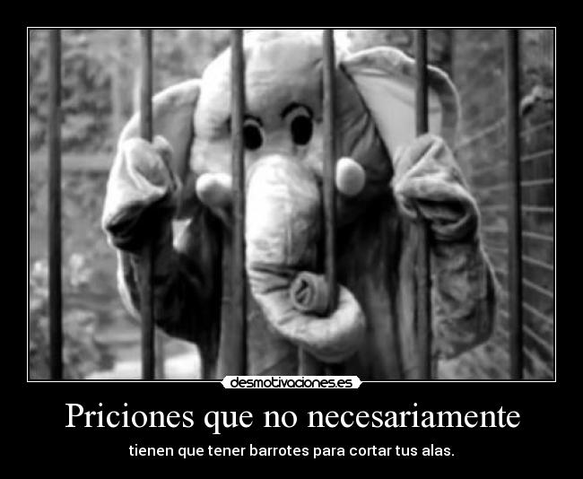 Priciones que no necesariamente - tienen que tener barrotes para cortar tus alas.