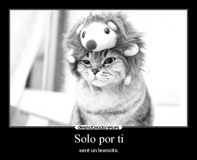 Solo por ti -