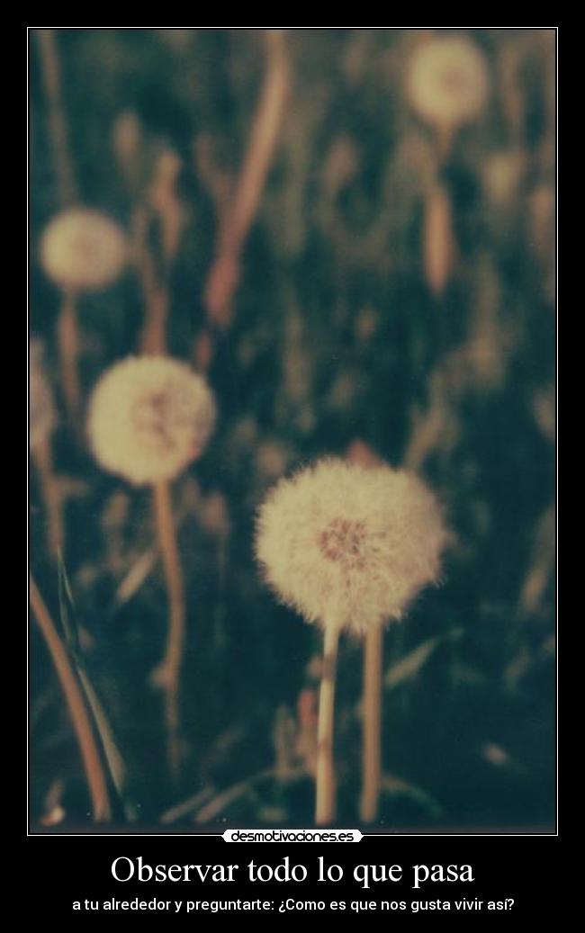 carteles flores desmotivaciones