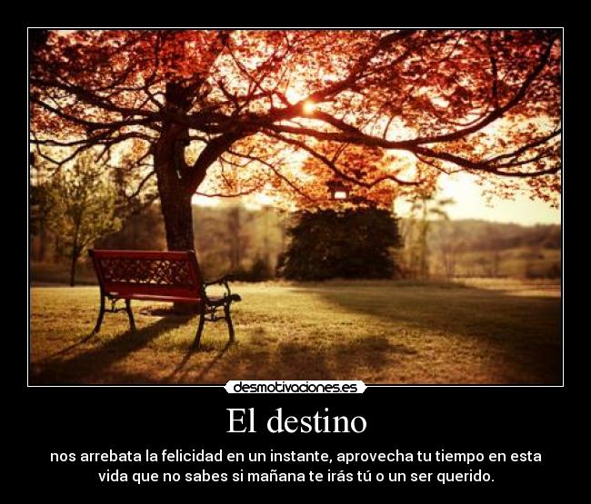 El destino -