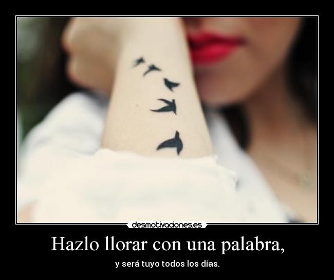 carteles llorar zas desmotivaciones