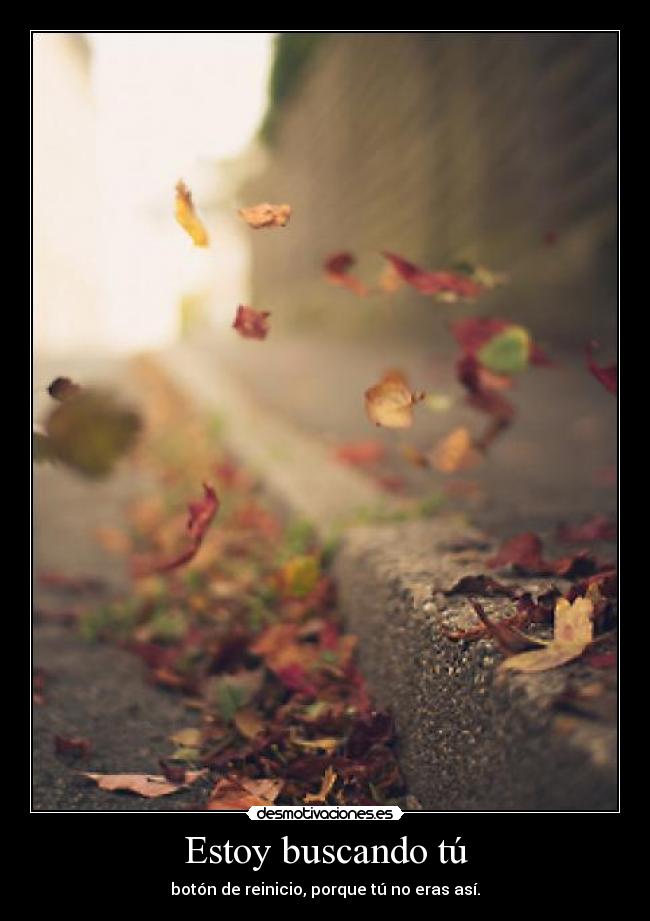 Estoy buscando tú - 