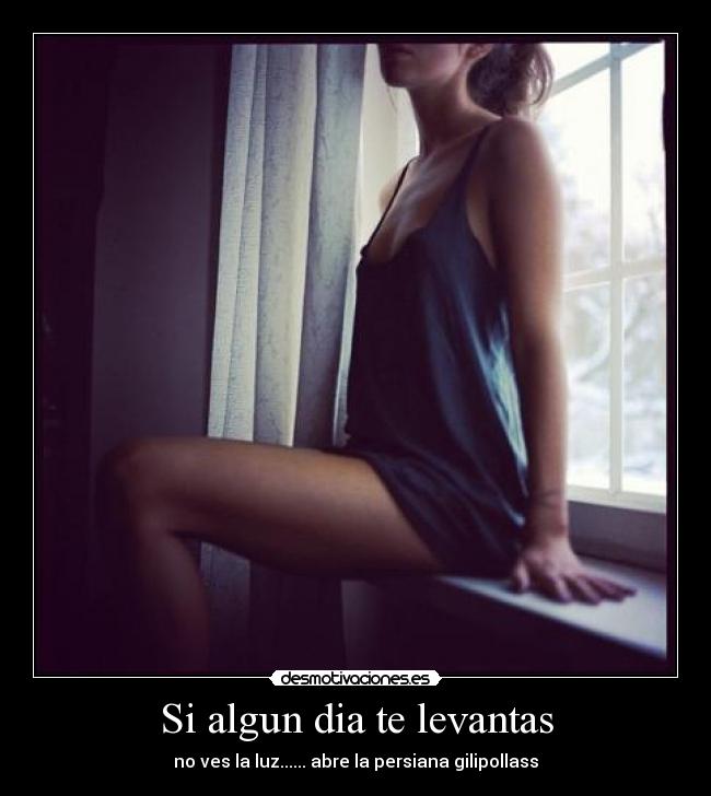 Si algun dia te levantas - no ves la luz...... abre la persiana gilipollass