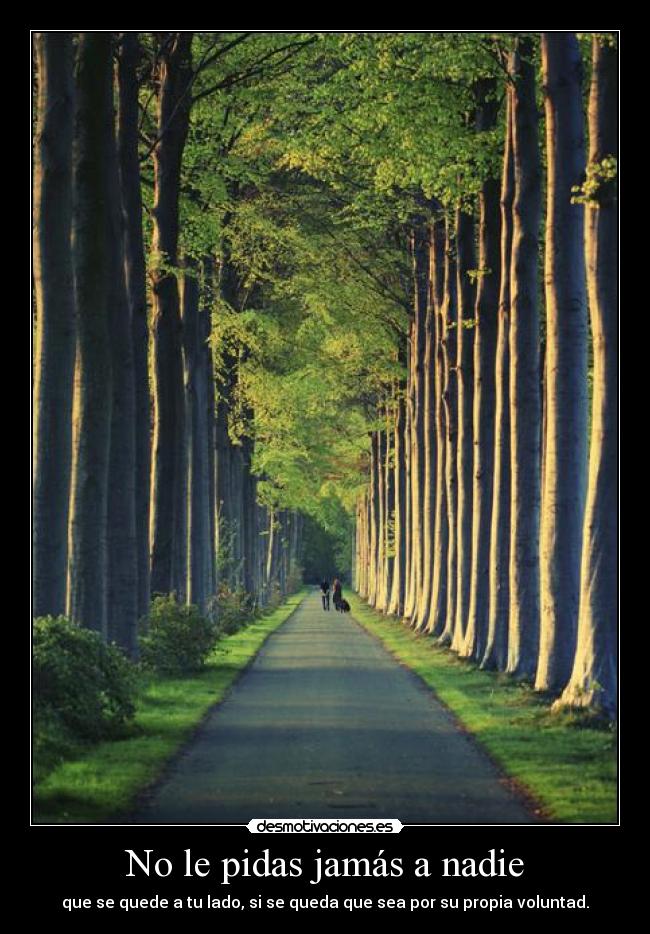 No le pidas jamás a nadie - 
